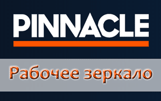 Рабочее зеркало Pinnacle